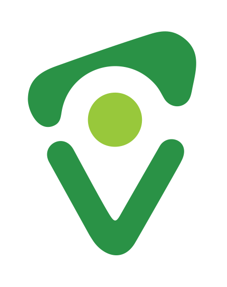 Dolfins Logo